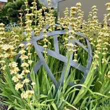 A metal garden sculpture in the shape of an orb with intersecting bands as a metaphor for the worthiness loop in midlife women.